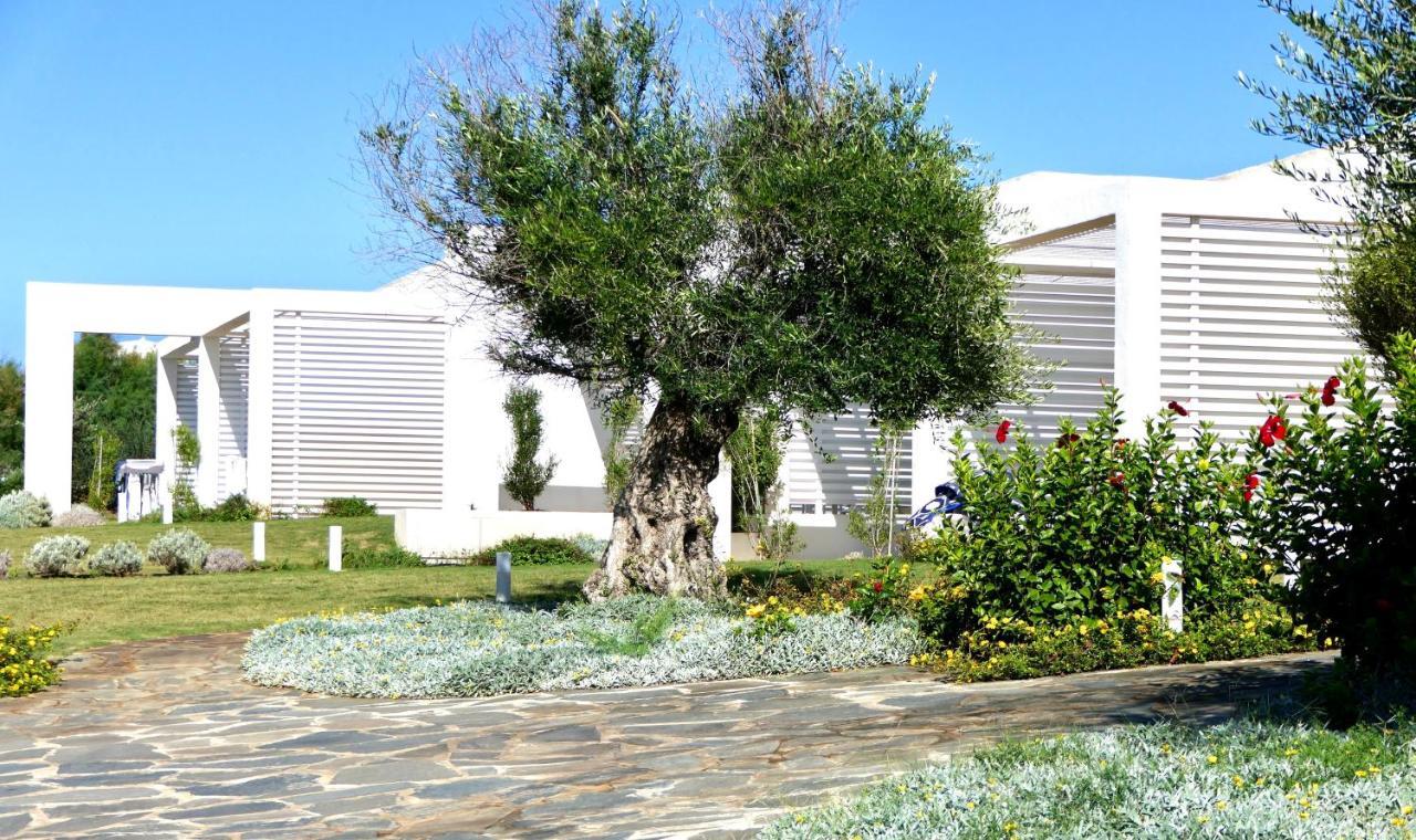 Resort Con Piscina A Soli 250 Mt Dalla Spiaggia La Pelosa Стинтино Екстериор снимка