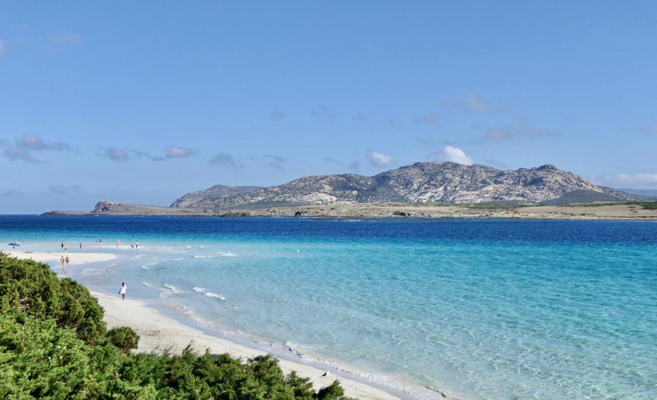 Resort Con Piscina A Soli 250 Mt Dalla Spiaggia La Pelosa Стинтино Екстериор снимка